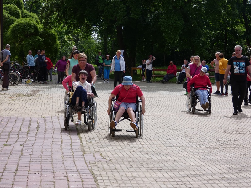 na invalidním vozíku